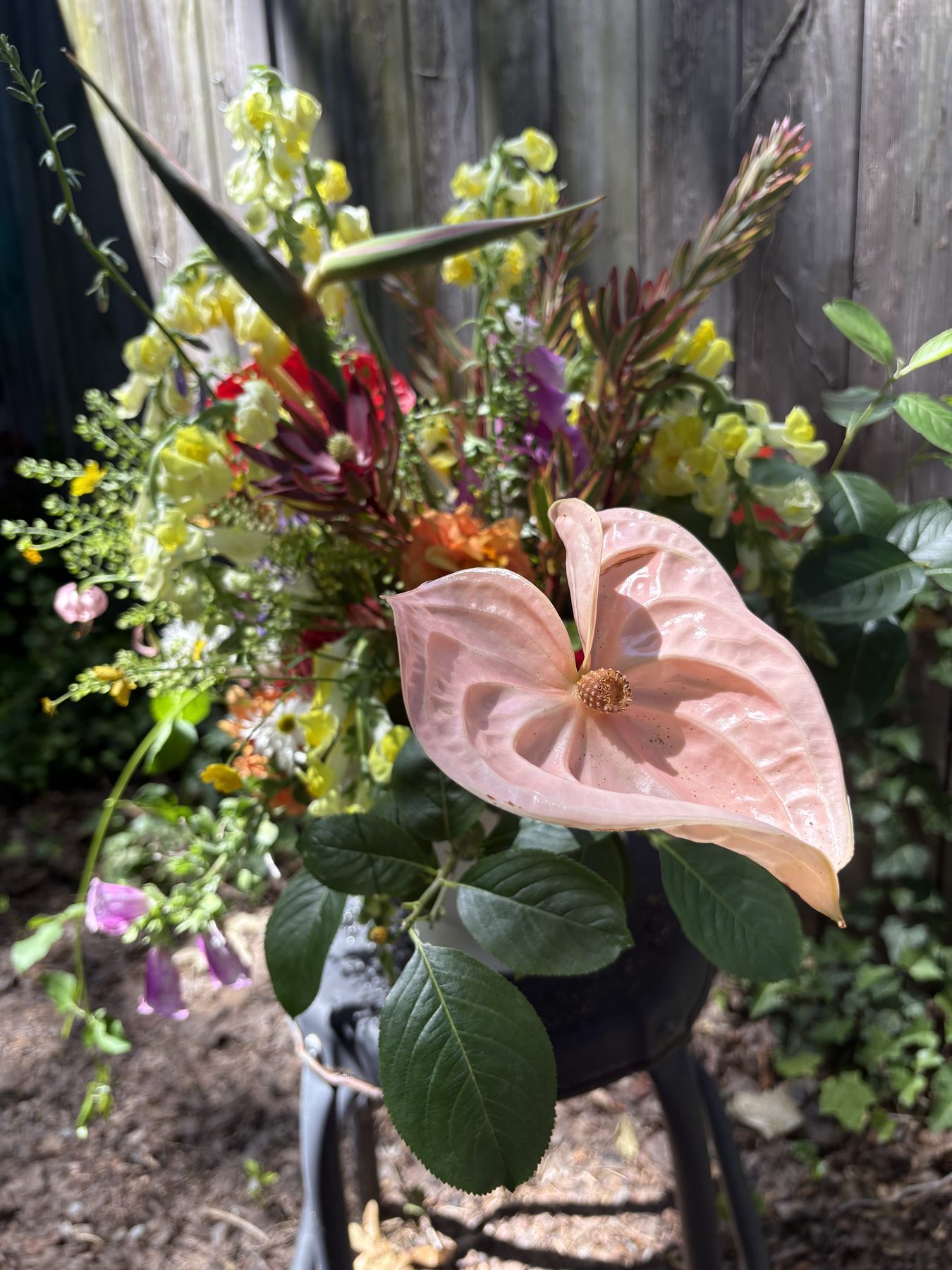 Close-up of a blush pink anthurium with a wildflower backdrop