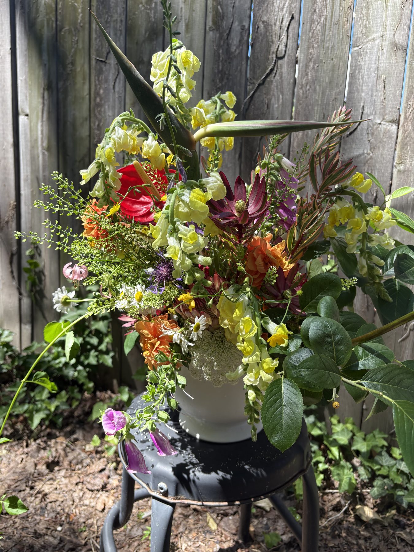 Garden-style arrangement with anthurium, protea and roses in a white vase