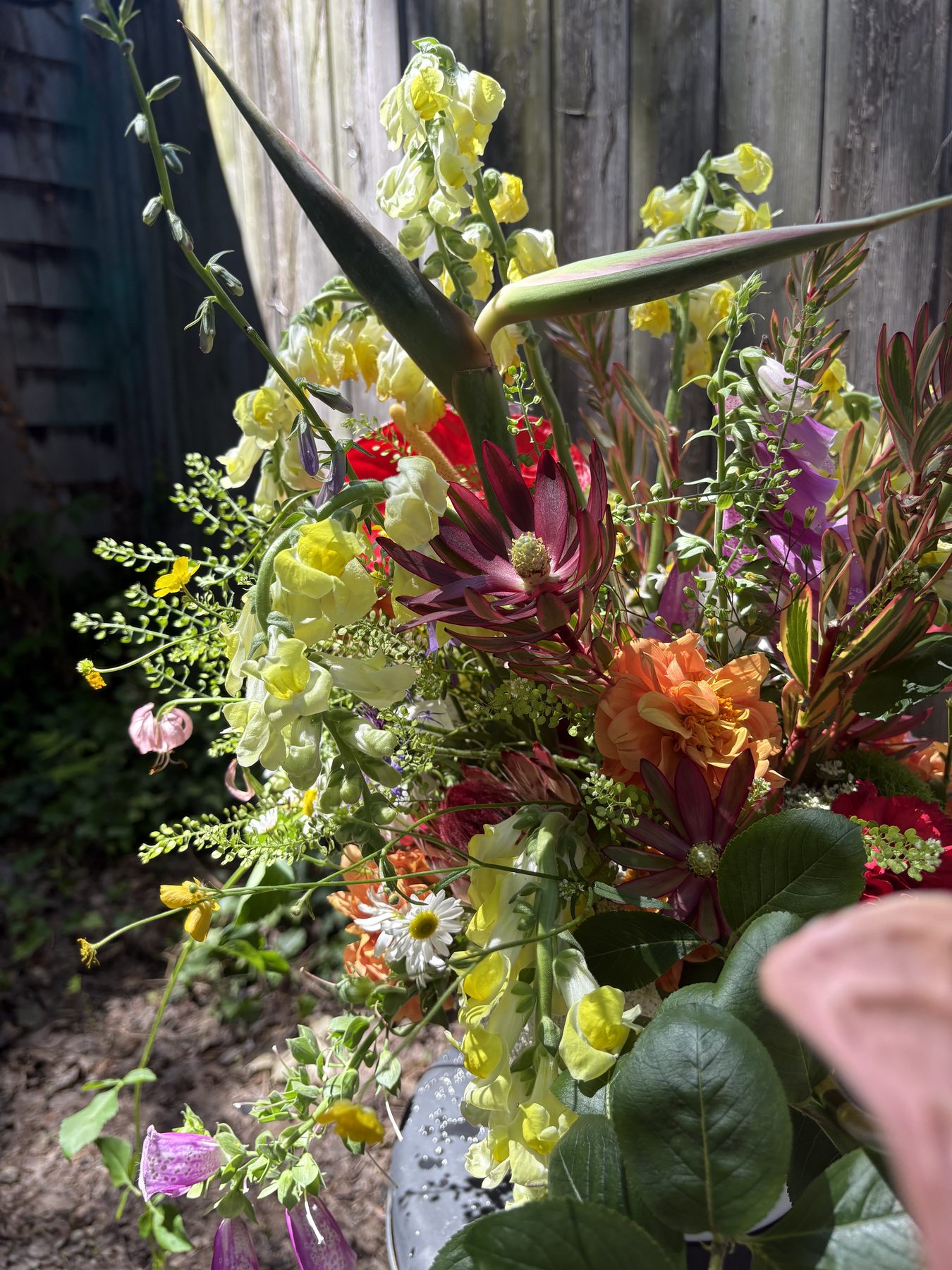Close-up of a garden-style arrangement with protea and snapdragons