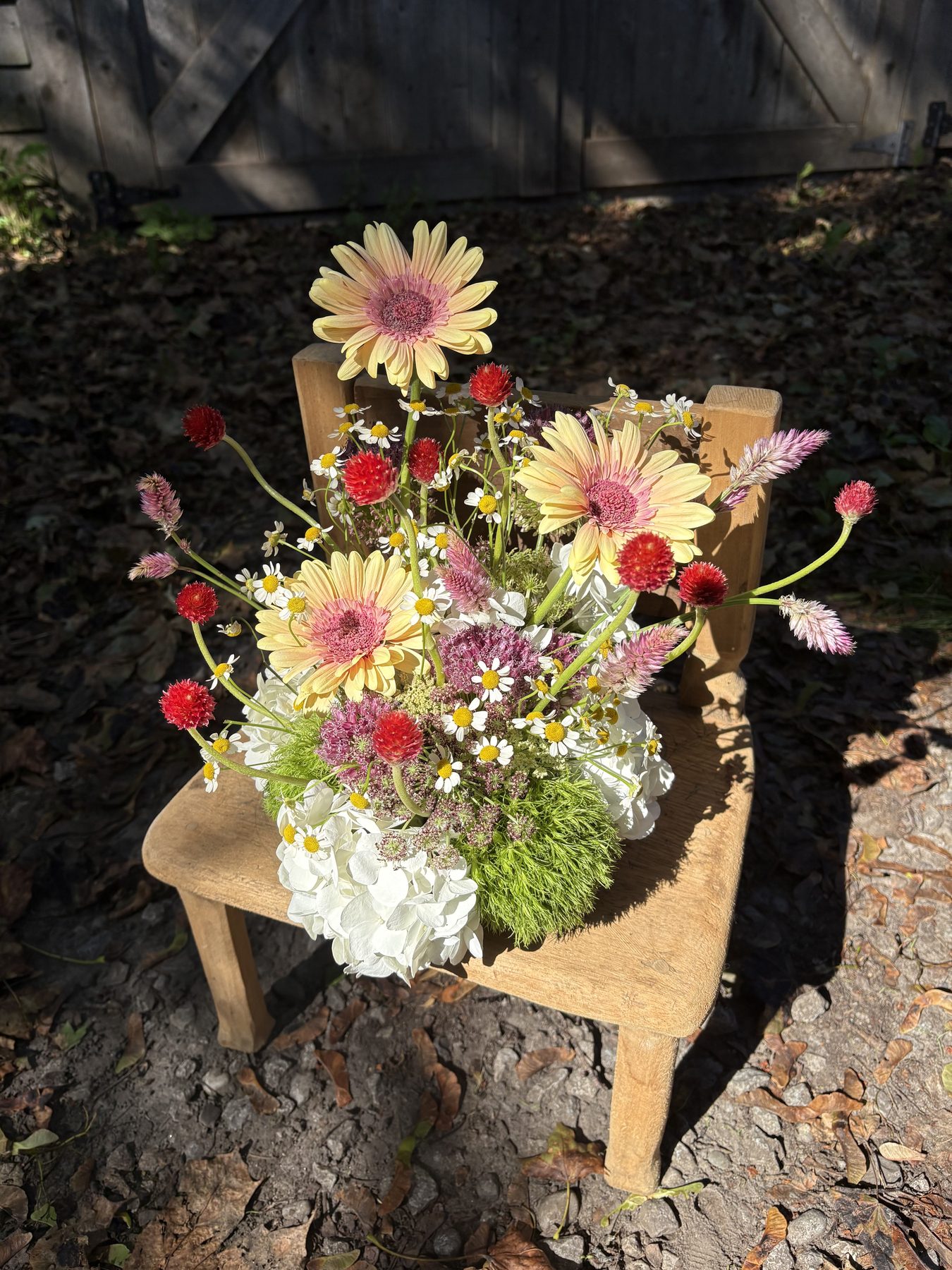 Red and white gerbera daisy and globe amaranth arrangement